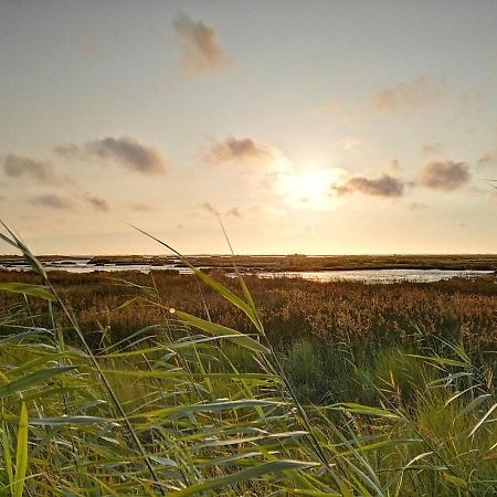 Willa Casa Da Balseira Aveiro Zewnętrze zdjęcie