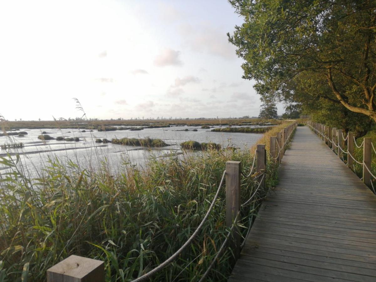 Willa Casa Da Balseira Aveiro Zewnętrze zdjęcie