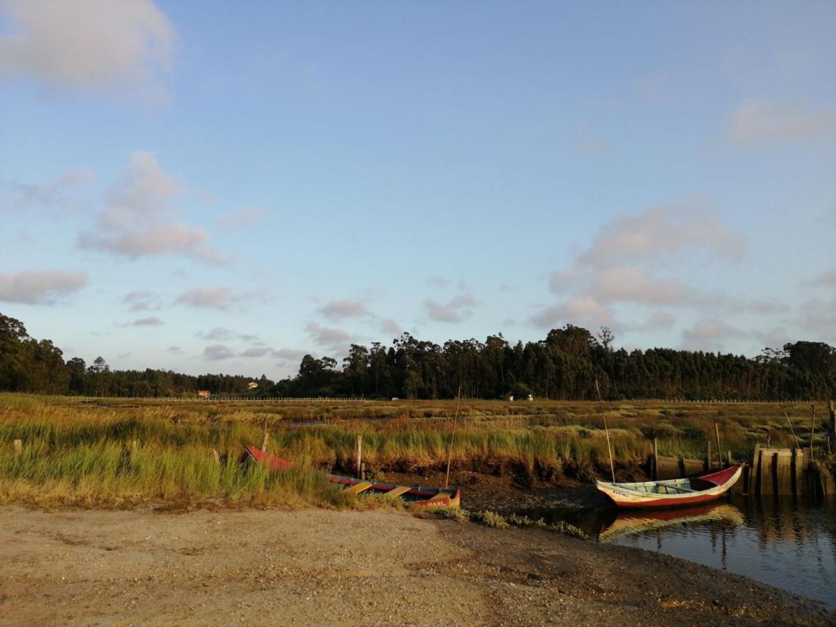 Willa Casa Da Balseira Aveiro Zewnętrze zdjęcie