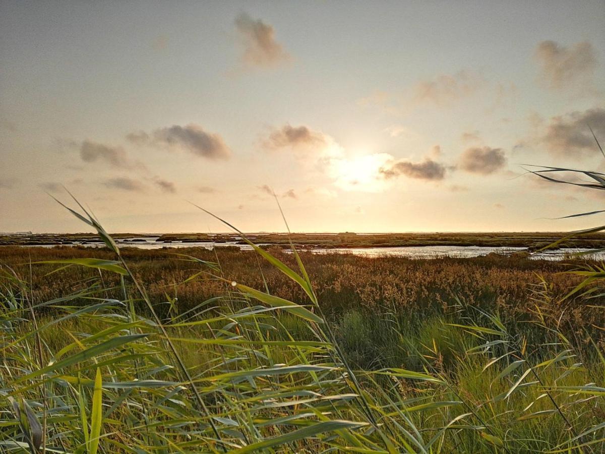 Willa Casa Da Balseira Aveiro Zewnętrze zdjęcie